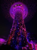 Supertree Observatory, Singapur &ndash; &copy; Manuel González Urrutia (Eberhardt TRAVEL)