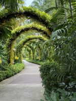 Botanischer Garten, Singapur  &ndash; &copy; Manuel González Urrutia (Eberhardt TRAVEL)
