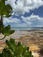 East Point Reserve, Darwin, Australien &ndash; &copy; Manuel González Urrutia (Eberhardt TRAVEL)