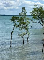 Darwin, Australien &ndash; &copy; Manuel González Urrutia (Eberhardt TRAVEL)