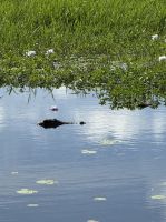 Kakadu National Park, Australien  &ndash; &copy; Manuel González Urrutia (Eberhardt TRAVEL)