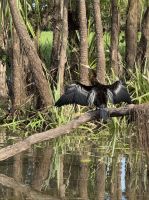 Jim Jim Creek, Kakadu National Park, Australien  &ndash; &copy; Manuel González Urrutia (Eberhardt TRAVEL)