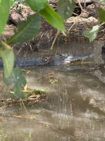 South Aligator River, Kakadu National Park, Australien &ndash; &copy; Manuel González Urrutia (Eberhardt TRAVEL)