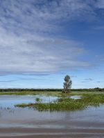 South Aligator River, Kakadu National Park, Australien &ndash; &copy; Manuel González Urrutia (Eberhardt TRAVEL)