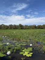 Kakadu Ward, Australien  &ndash; &copy; Manuel González Urrutia (Eberhardt TRAVEL)