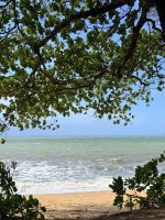 Palm Cove, Australien &ndash; &copy; Manuel González Urrutia (Eberhardt TRAVEL)