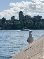 Opera House, Sydney, Australien  &ndash; &copy; Manuel González Urrutia (Eberhardt TRAVEL)