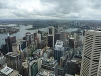 Sydney - Blick vom Sydney Tower