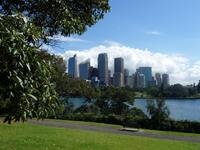 Sydney - Blick von den Royal Botanic Gardens