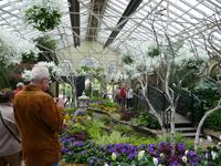 Melbourne - Fitzroy Gardens