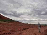 Outback - Walpa Gorge