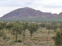 Outback - Kata Tjutas