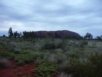 Outback - Sonnenaufgang am Uluru