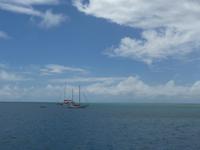 Great Barrier Reef - Michaelmas Cay