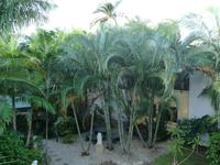 Cairns - Bay Village Tropical Retreat