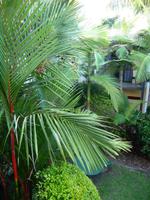 Cairns - Bay Village Tropical Retreat