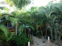 Cairns - Bay Village Tropical Retreat