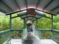 Cairns - Tjapukai Aboriginal Cultural Park