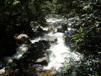 Daintree NP - Mossman Gorge