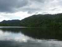 Daintree NP - Flussfahrt