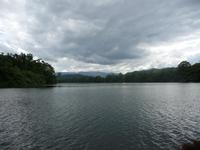 Daintree NP - Flussfahrt