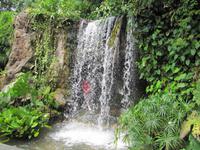 Botanischer Garten von Singapur