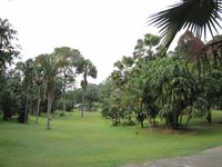 Botanischer Garten von Singapur