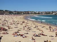 Bondi Beach