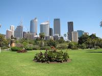 Sydney Skyline