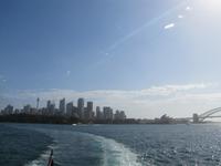 Sydney Skyline