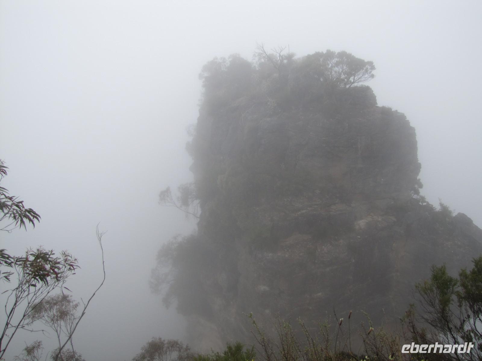 Nebel in den Blue Mountains