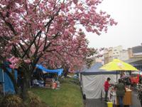 Markttreiben in Luna