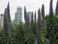 Melbourne Kriegsdenkmal