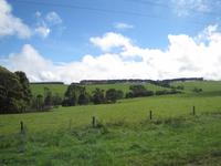 auf dem Weg zur Great Ocean Road