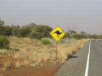 Achtung Känguruhs :)