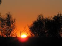 Sonnenaufgang am Ayers Rock