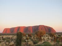 Sonnenaufgang am Ayers Rock