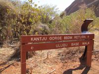 Spaziergang am Uluru