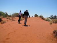 rote Sanddüne am Ayers Rock