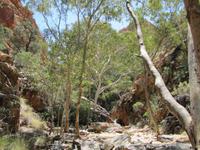 Standley Chasm - Alice Springs