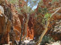 Standley Chasm - Alice Springs