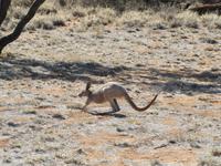 Simpsons Gap - Alice Springs