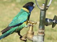 jeder hat einmal Durst :)