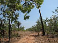 Eingang zum Kakadu NP