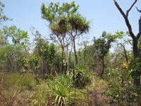 Eingang zum Kakadu NP