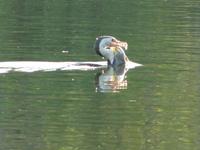 Gagadju Lodge im Kakadu Nationalpark