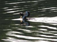Gagadju Lodge im Kakadu Nationalpark
