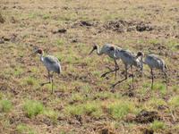 Naturwelt im Arnhemland