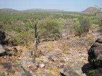 Aufstieg zum Injalak Hill