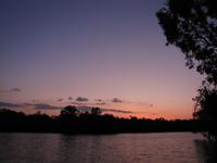 Sonnenuntergang am Alligatorriver